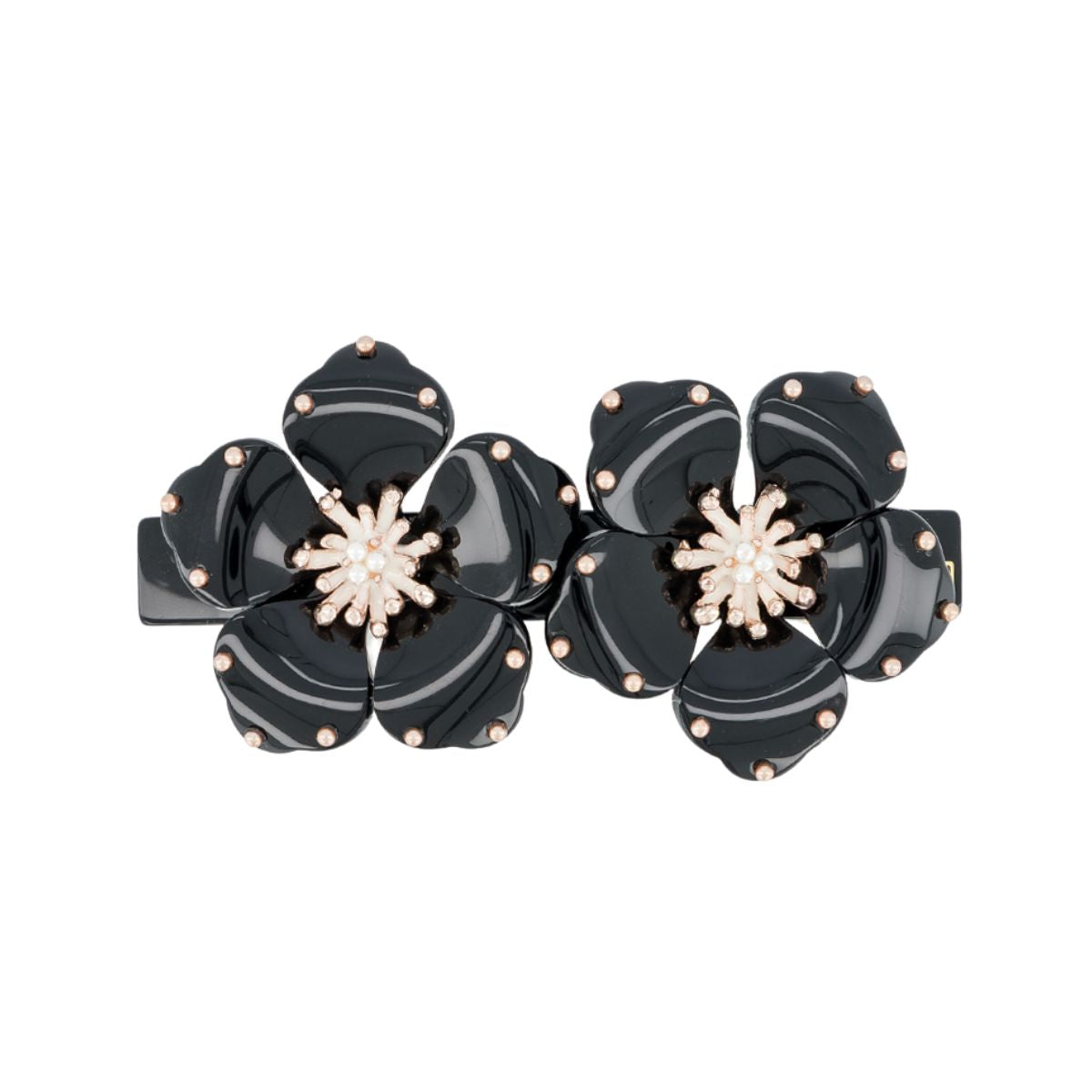 FIVELA ECLOSION MEDIUM