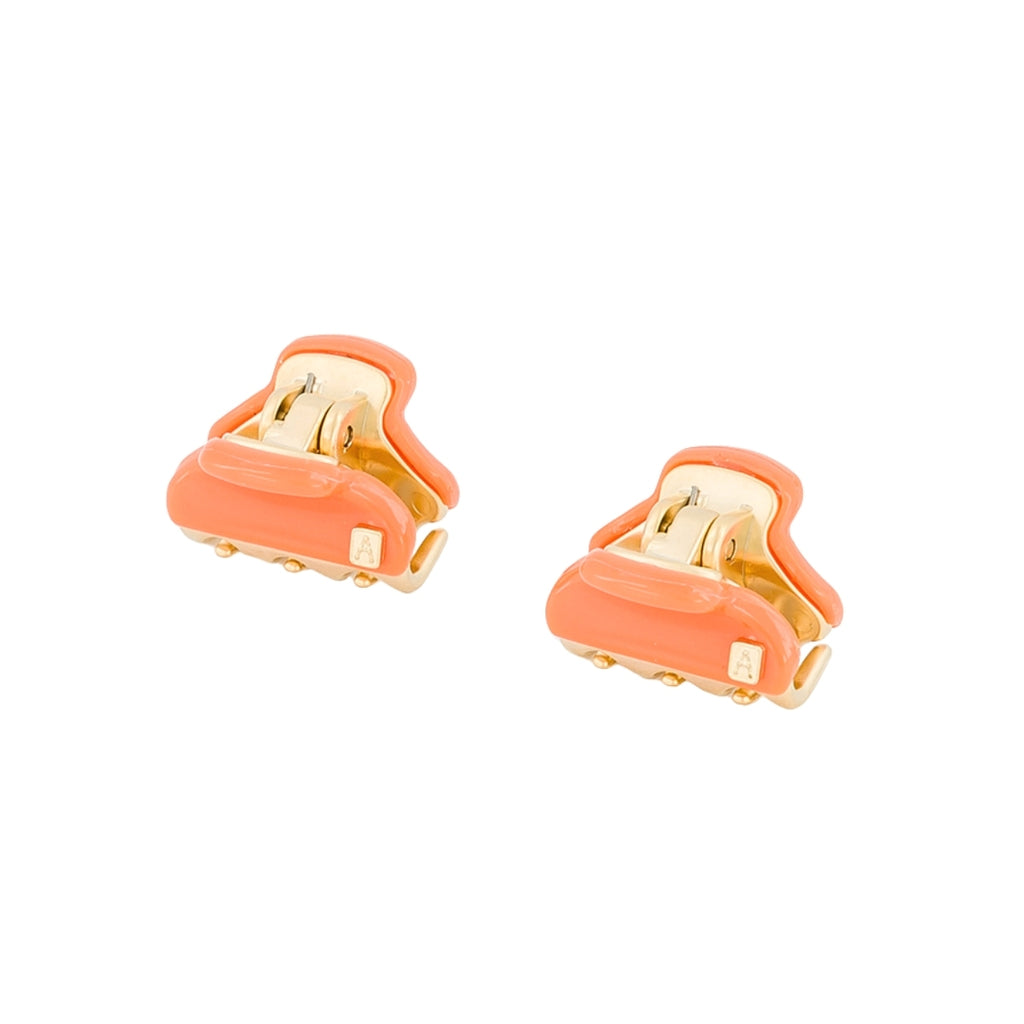 Pince Vendôme Micro Lisa Soleil