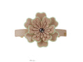 FIVELA IMMORTELLE