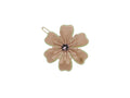 PRESILHA IMMORTELLE